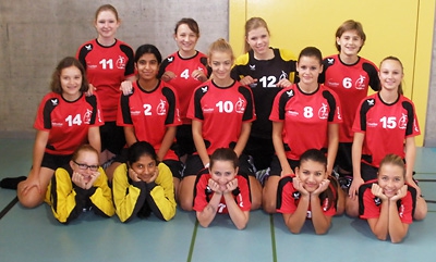 HBCM FU17/2013